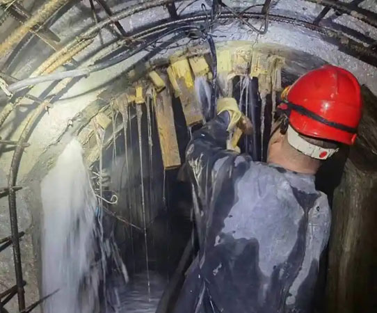 张港镇大坝堵漏